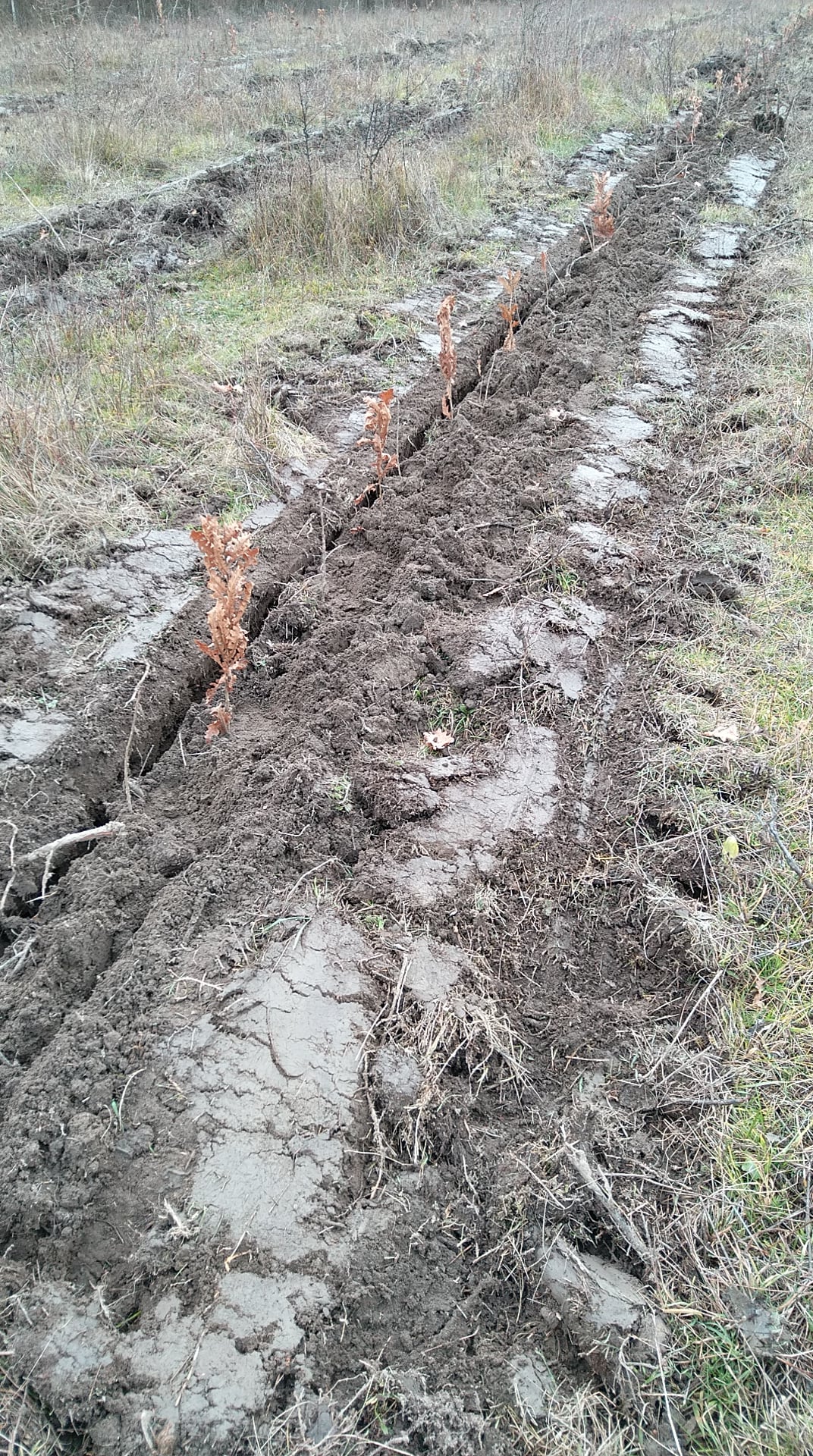 469980332_586443547264145_8796912572905607334_n