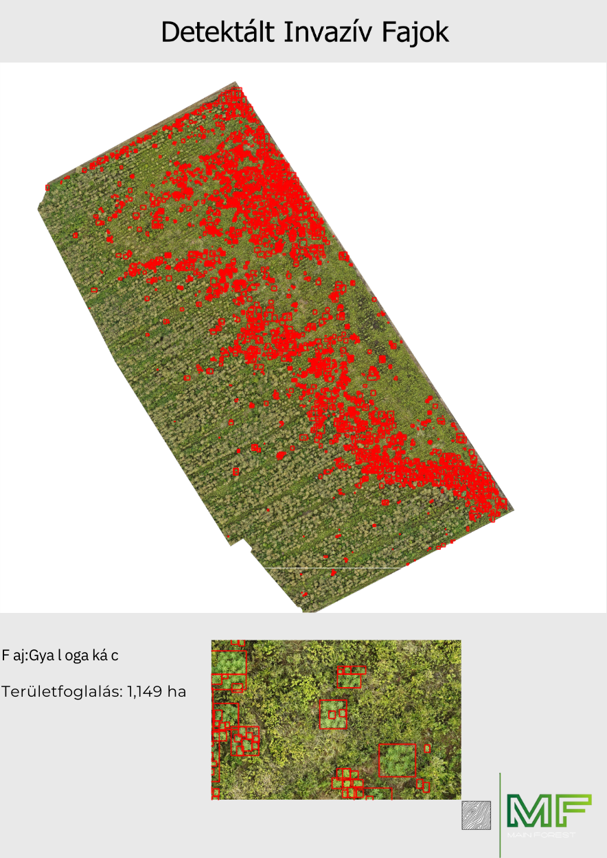 Képernyőkép 2025-02-17 095549