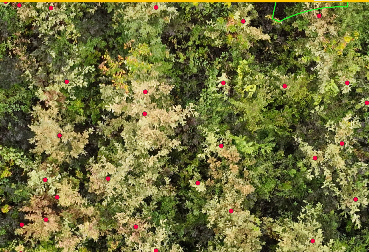 Képernyőkép 2025-04-14 124450