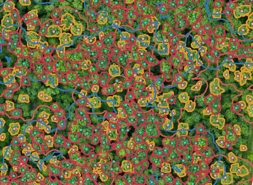 Képernyőkép 2024-10-23 093524