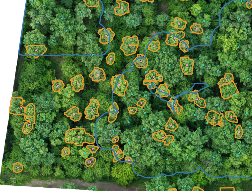 Képernyőkép 2025-06-15 213437