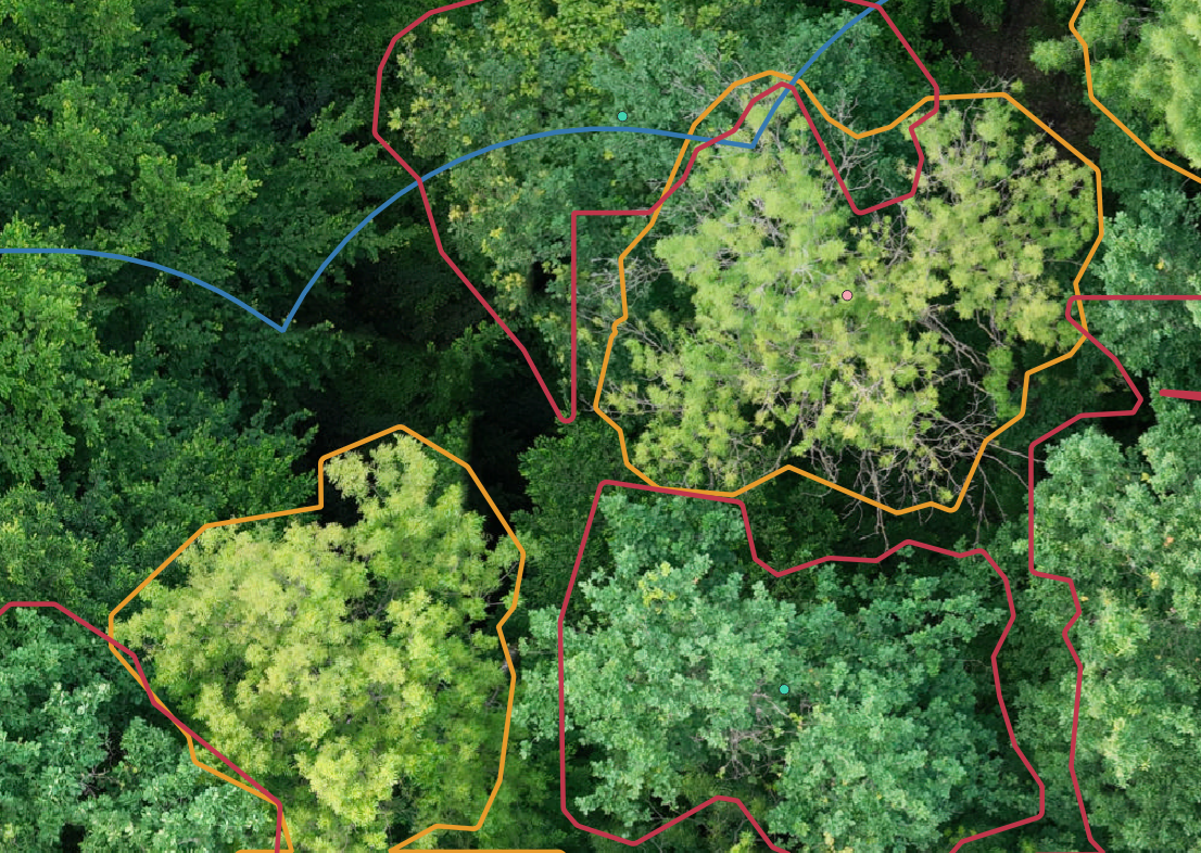 Képernyőkép 2024-10-23 093847