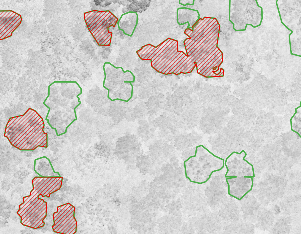 Képernyőkép 2025-02-15 112347