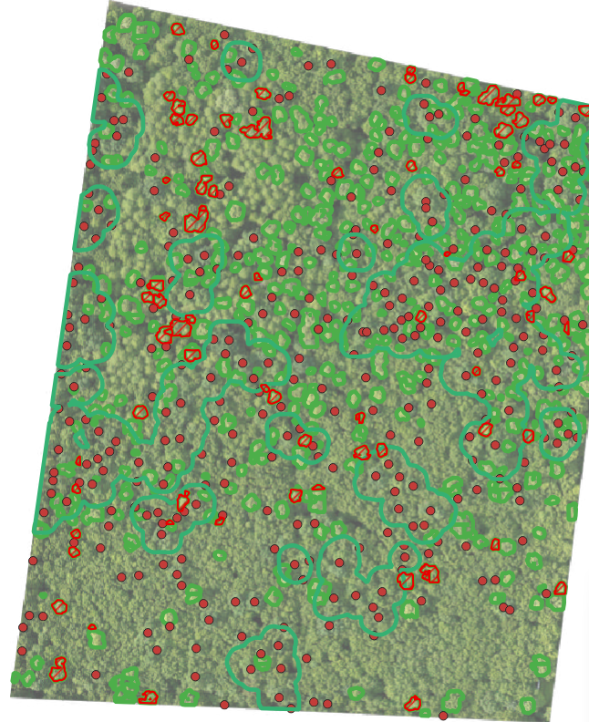 Képernyőkép 2025-04-14 122711