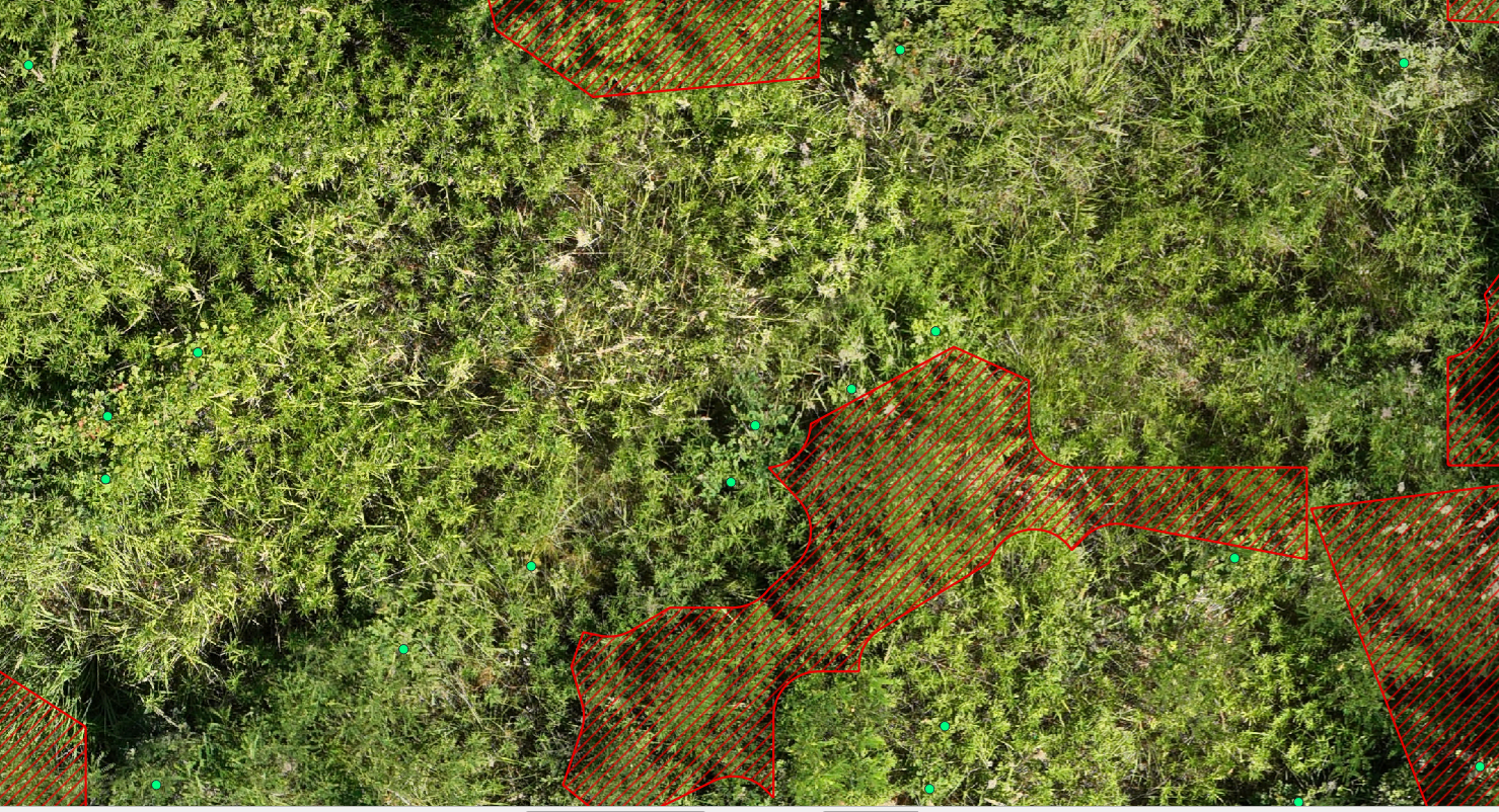 Képernyőkép 2025-07-04 094326