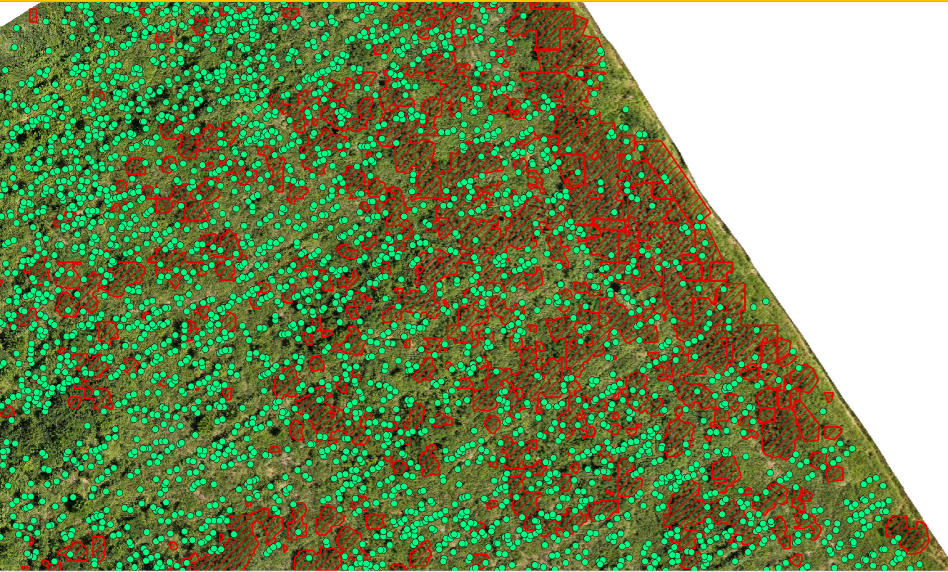 Képernyőkép 2025-07-04 095645