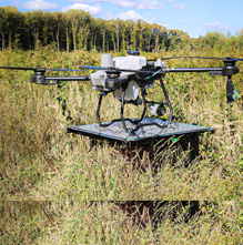 Költséghatékony erdőgazdálkodás